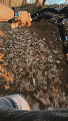 GIF image-4EBC-B5A9-CA-0.gif