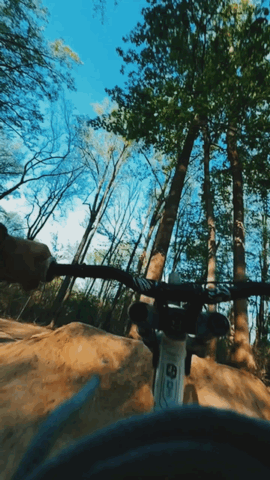 GIF image-4B44-AF11-B2-0.gif