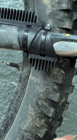 GIF image-81F5AD8CF810-1.gif