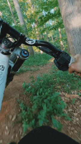 GIF image-4BD3-8F85-0E-0.gif