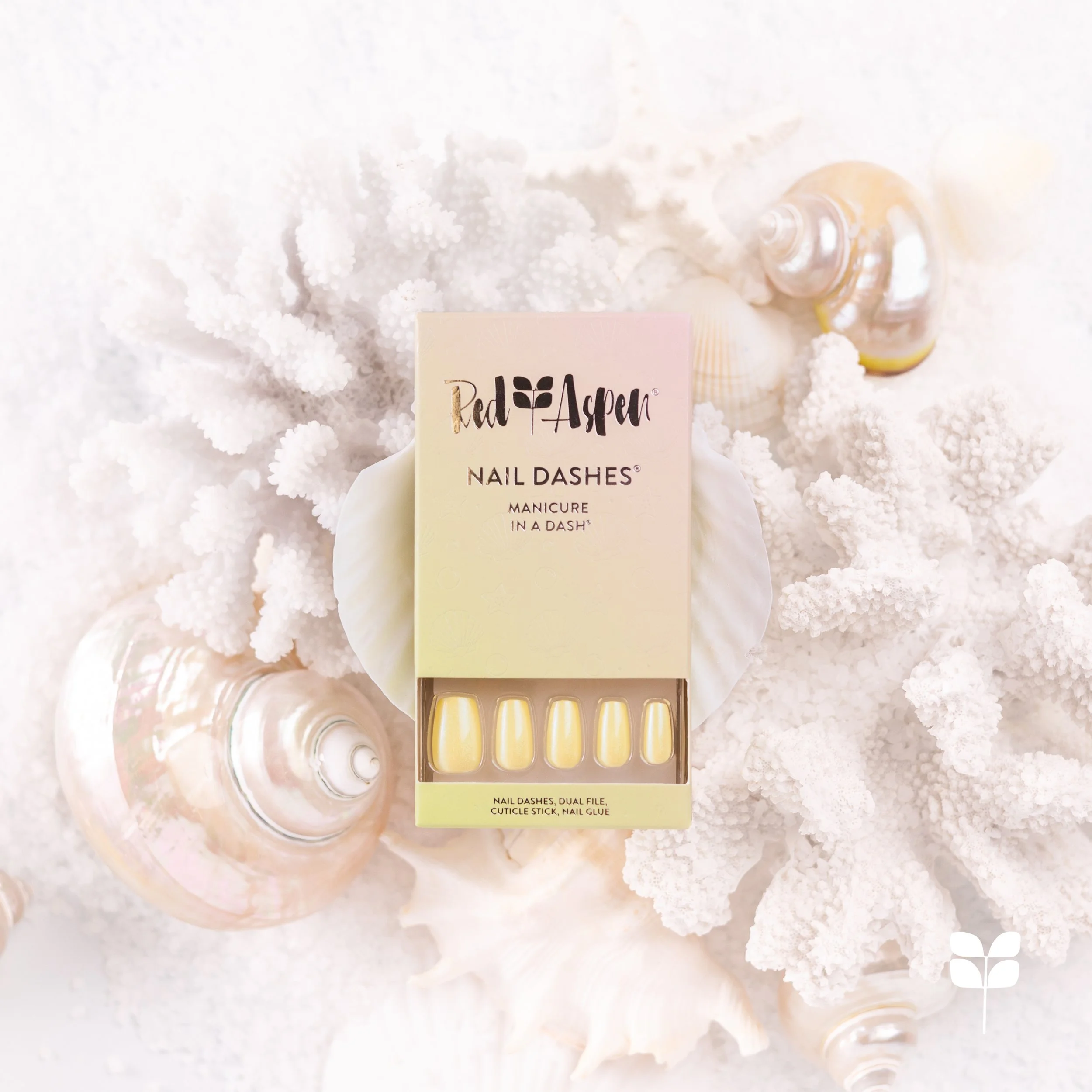 Shell Me About It Cordelia WM-1.jpg