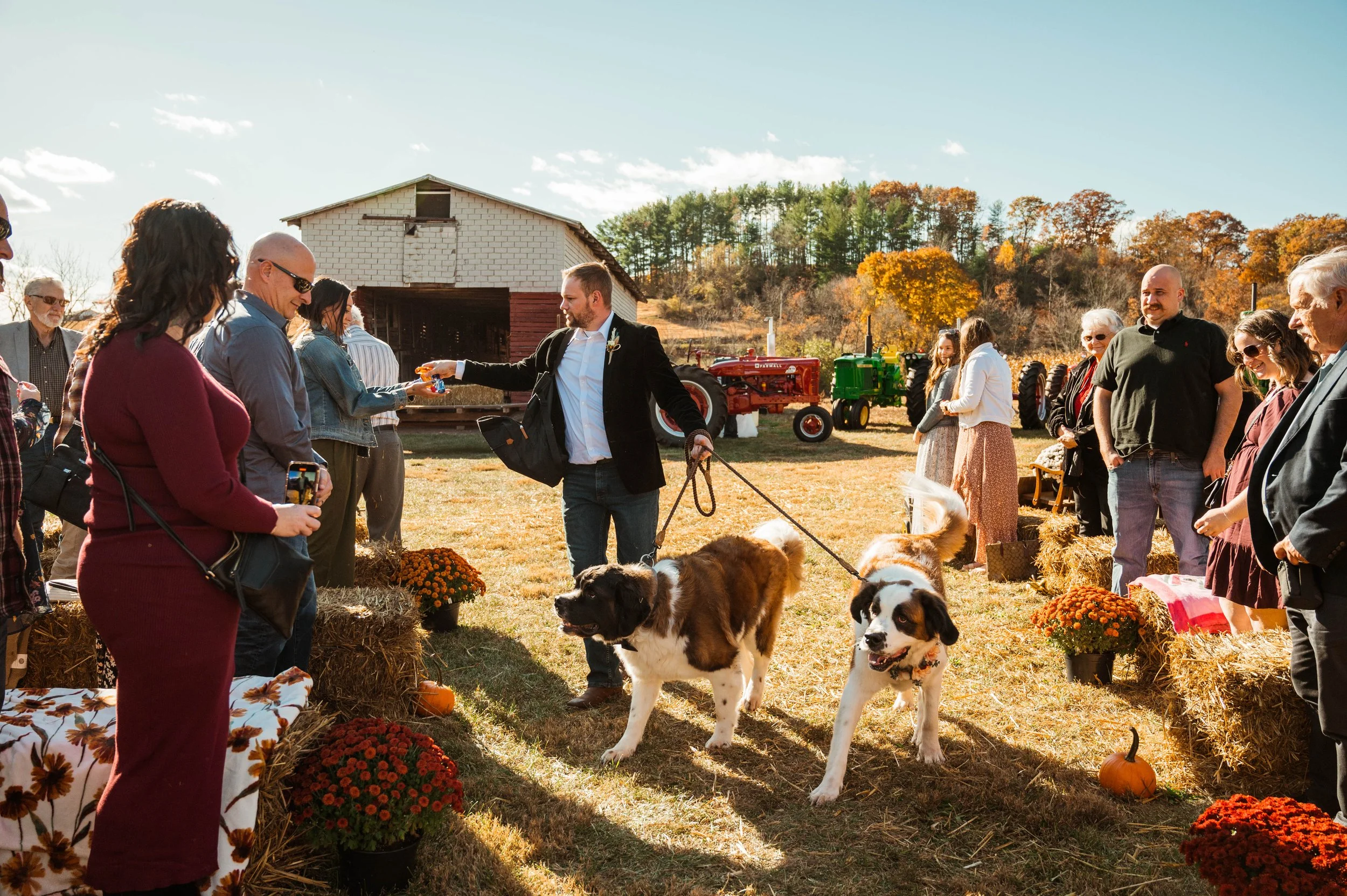 frywedding-229.jpg