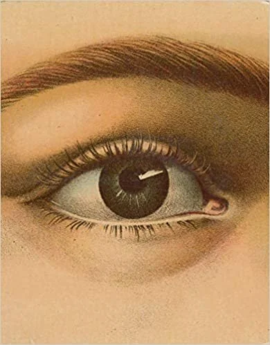 51U9TlXXU5L._SX388_BO1,204,203,200_.jpg