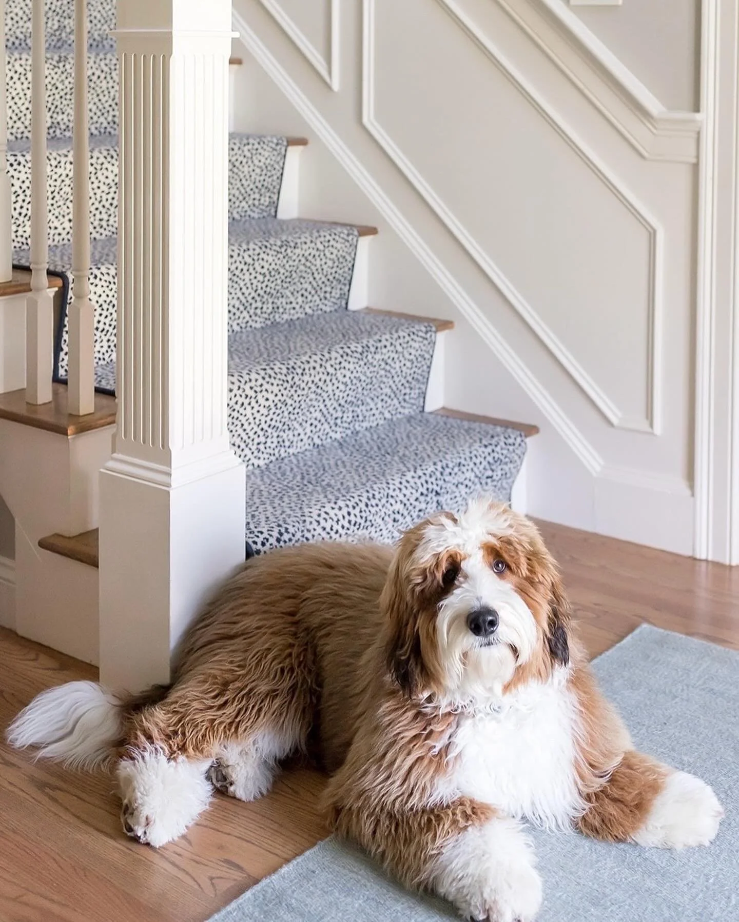 It&rsquo;s National Pet Day! Talking about pet names is our favorite office pastime. We have 3 dogs amongst us:
Ginny, Ben and Frank. What are your pets named???
⠀⠀⠀⠀⠀⠀⠀⠀⠀
#dogobsessed
⠀⠀⠀⠀⠀⠀⠀⠀⠀
Design: @grayoakstudio
Projects: Boardman, Norden, Park