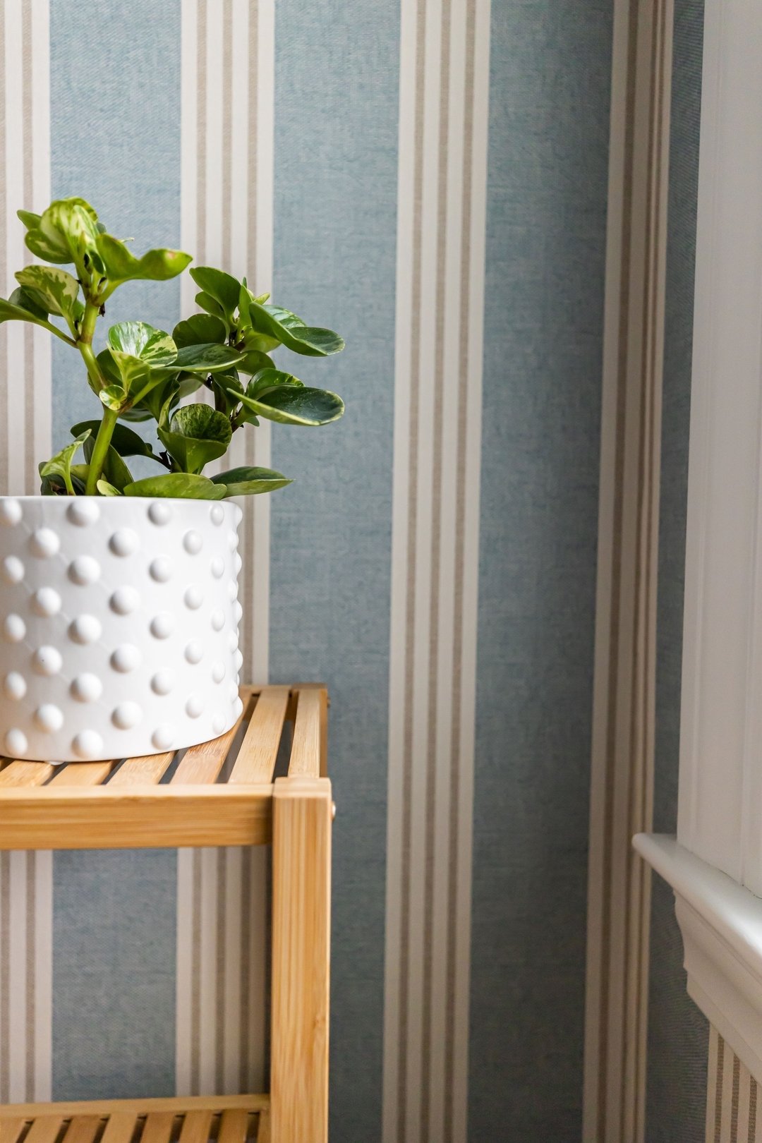 Happy Friday! Will there be plants in your weekend plans? It&rsquo;s that gardening and flower bed time of year!

#designingfavoriteplaces

Design: @grayoakstudio
Project: Millen Powder Room
Photography: @brookedelrossiphoto

#JungalowStyle
#Plantpar