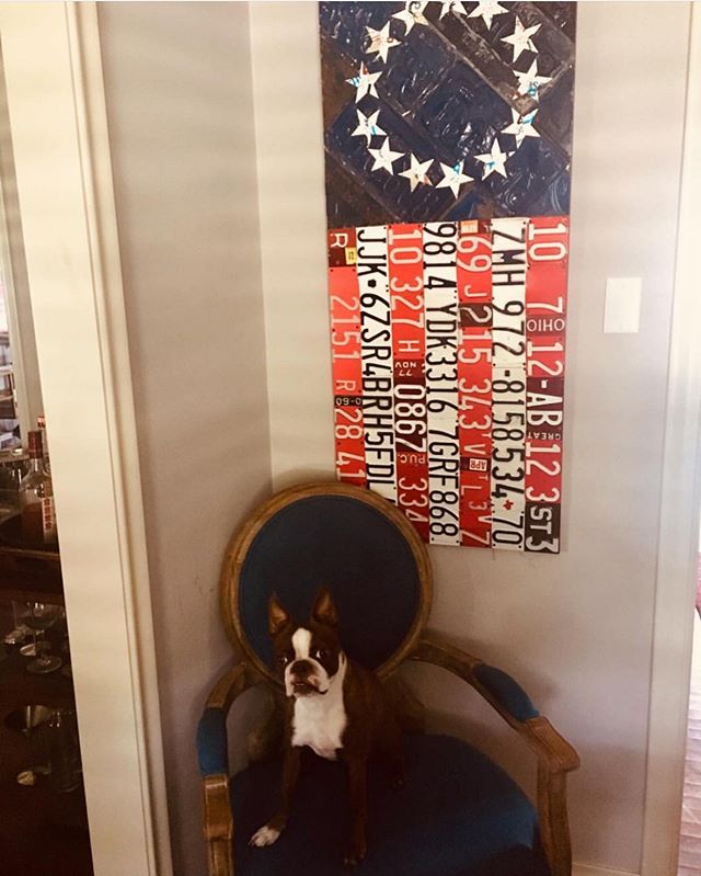 Betsy Ross flag is looking sharp in its new home! And with this cute little guy standing guard, I know it is in good hands! .
.
.
.
.
.
.
.
jennifer.savo.art
.
.
#betsyross #licenseplateart #upcycledart #recycledart #recycle #artwork #vintage #metal 