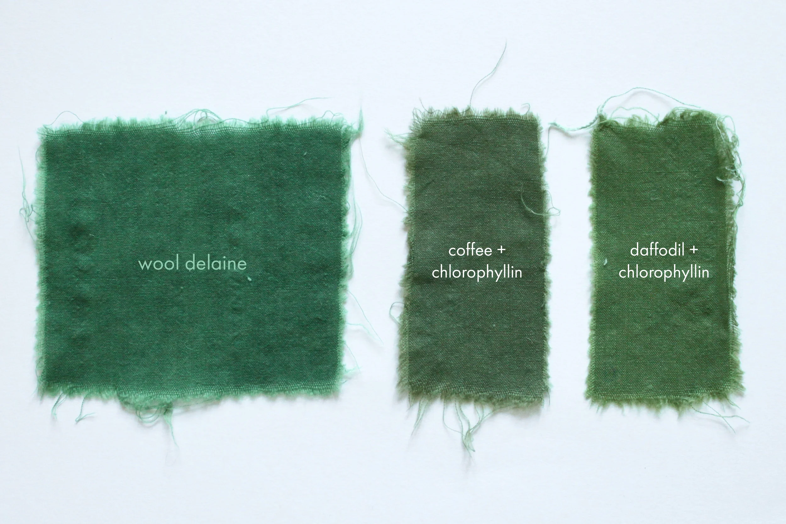 Green Dye Blog Pages Emily Mae Martin