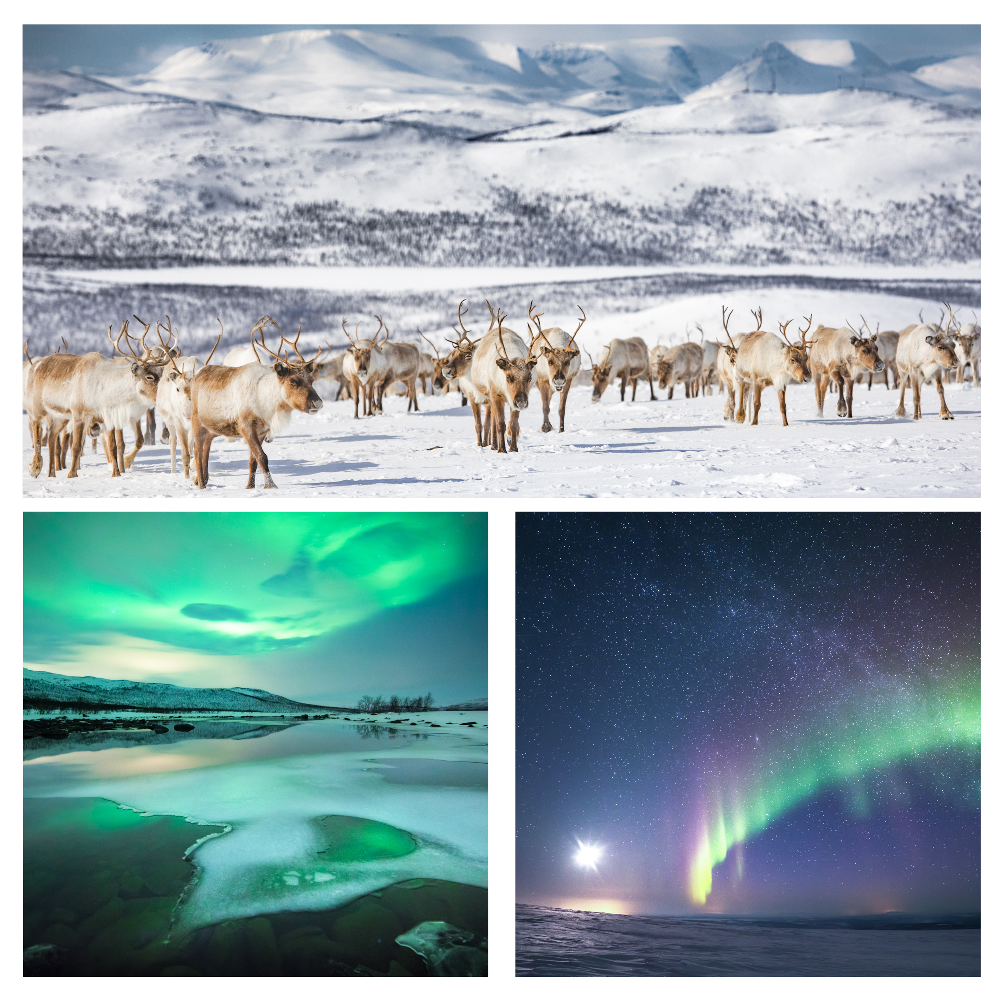 lapland_photography_workshops-3.jpg