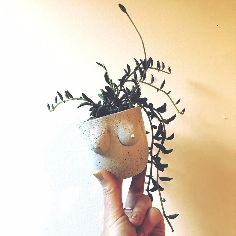 Boob Planter Medium  Maven