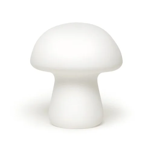 mushroom light.jpeg