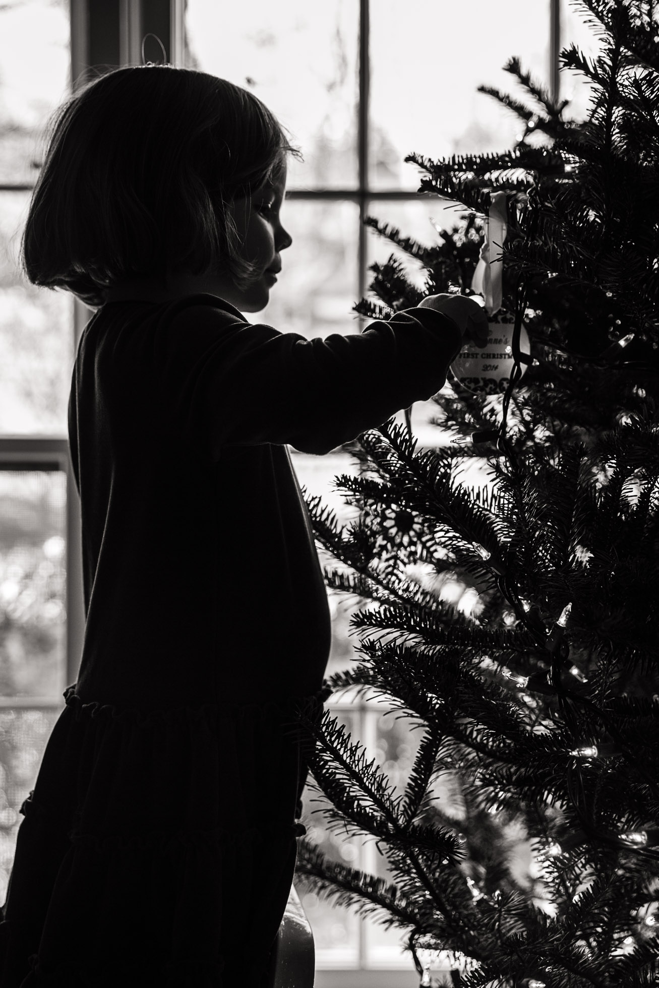 christmas tree session deposit
