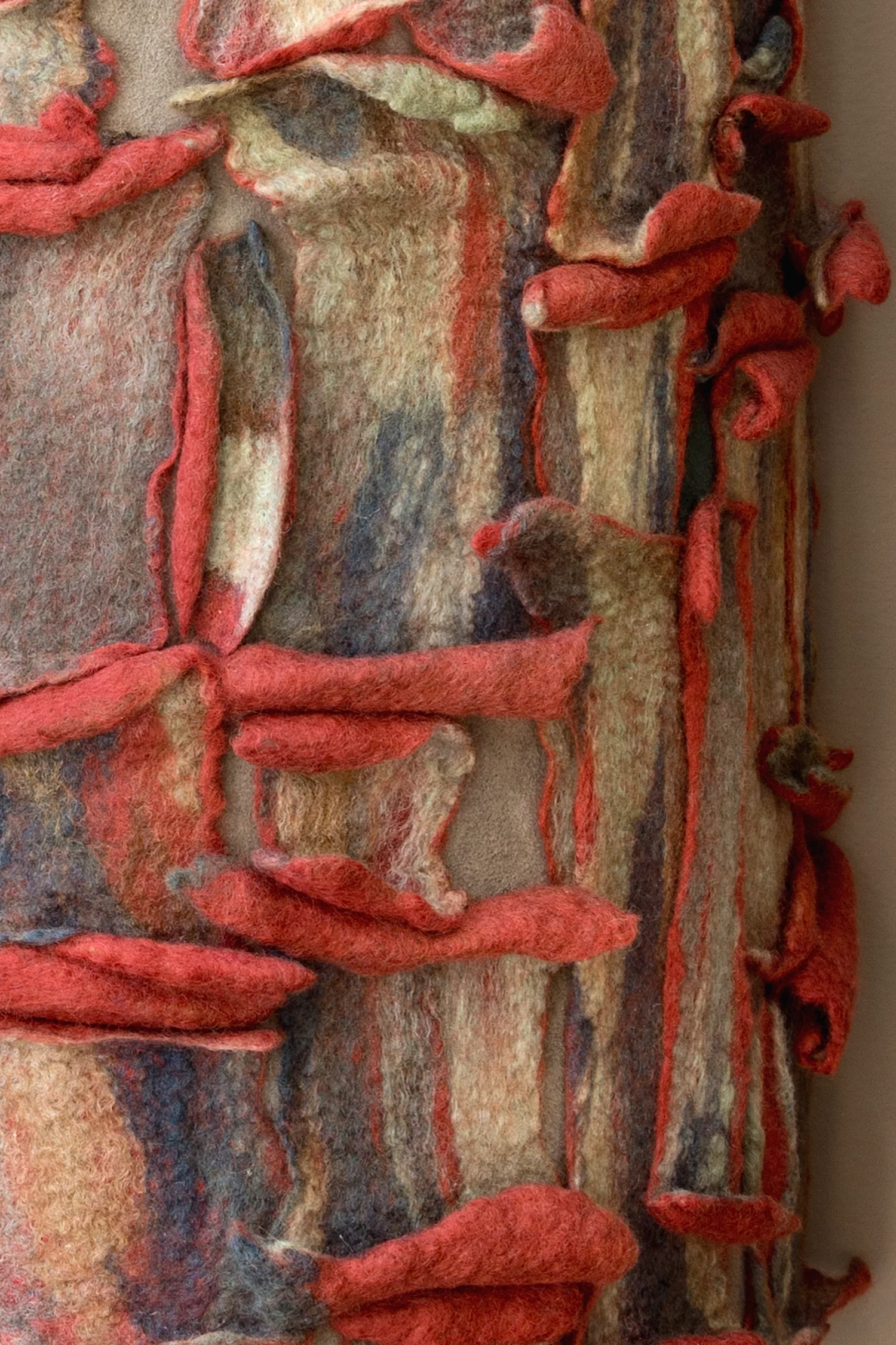 tree trunk-curling (det).jpg