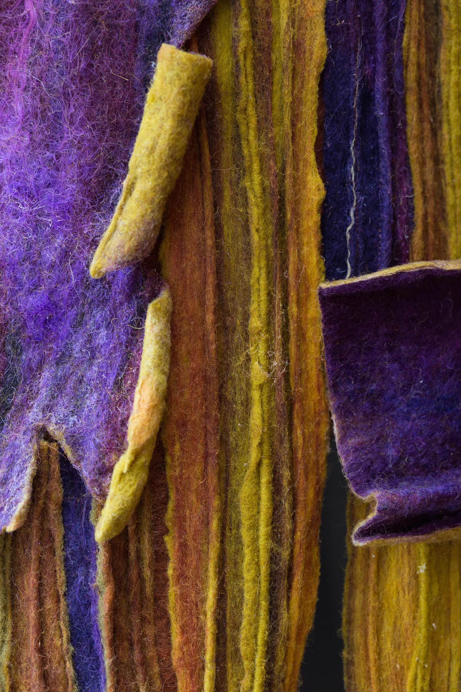 tree trunk-flaking(det).jpg