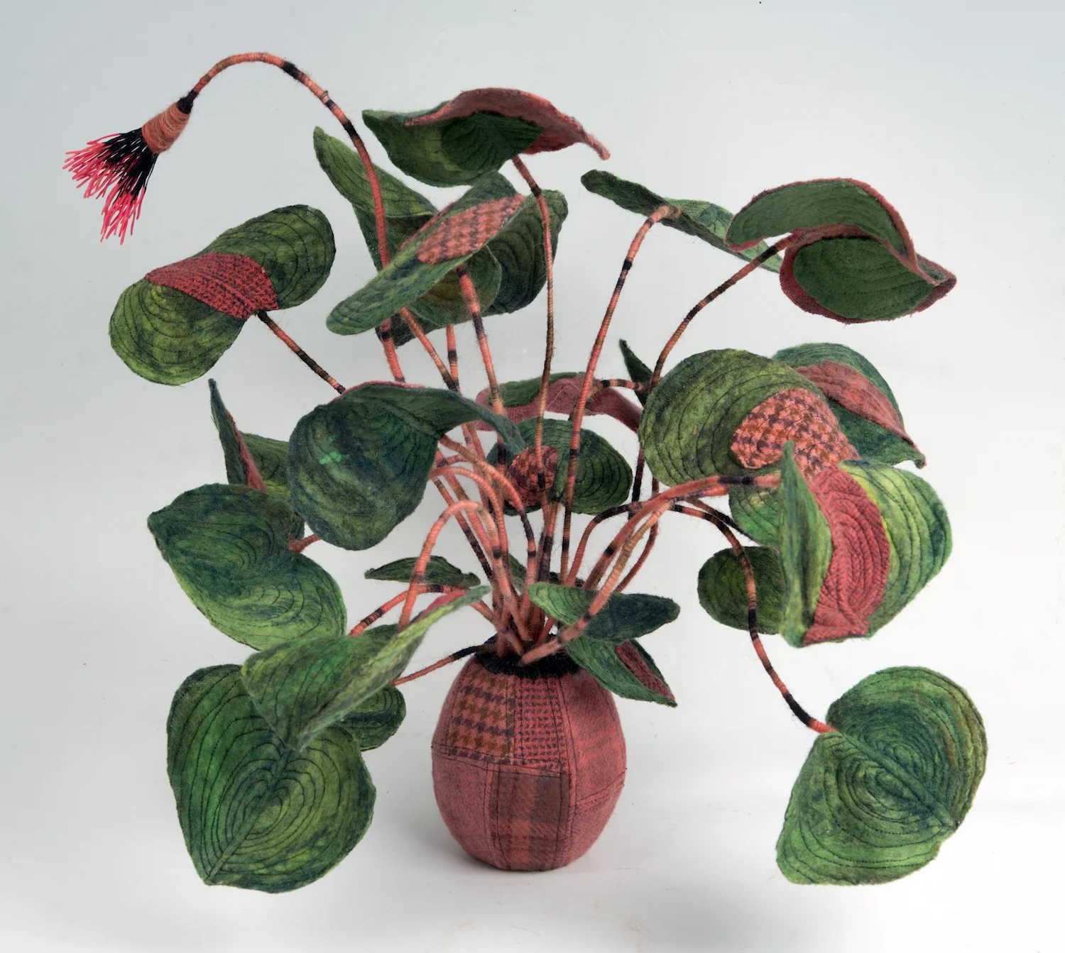 genetically designed flower: philodendron 'preppy' handmade felt, mixed media 15 x19 x19