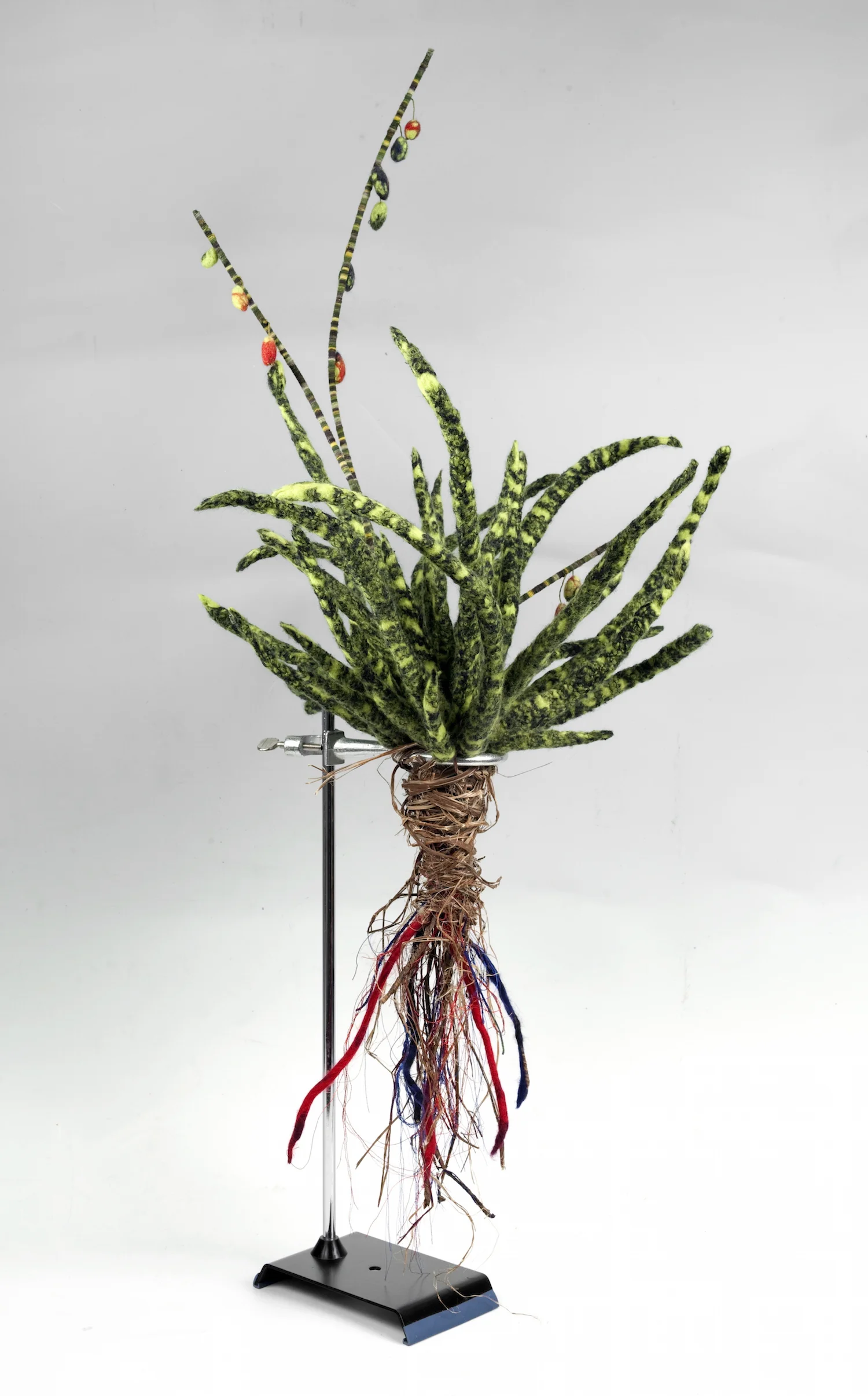 aloe 'cardiovascularis' handmade felt, mixed media 37 x20 x20