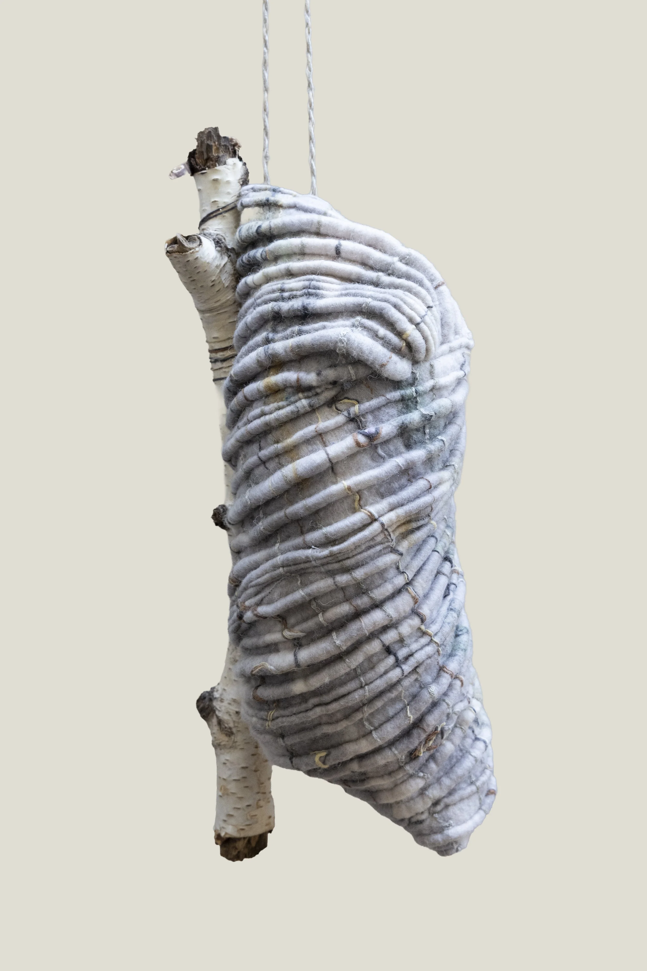 nest-no way in-03.jpg