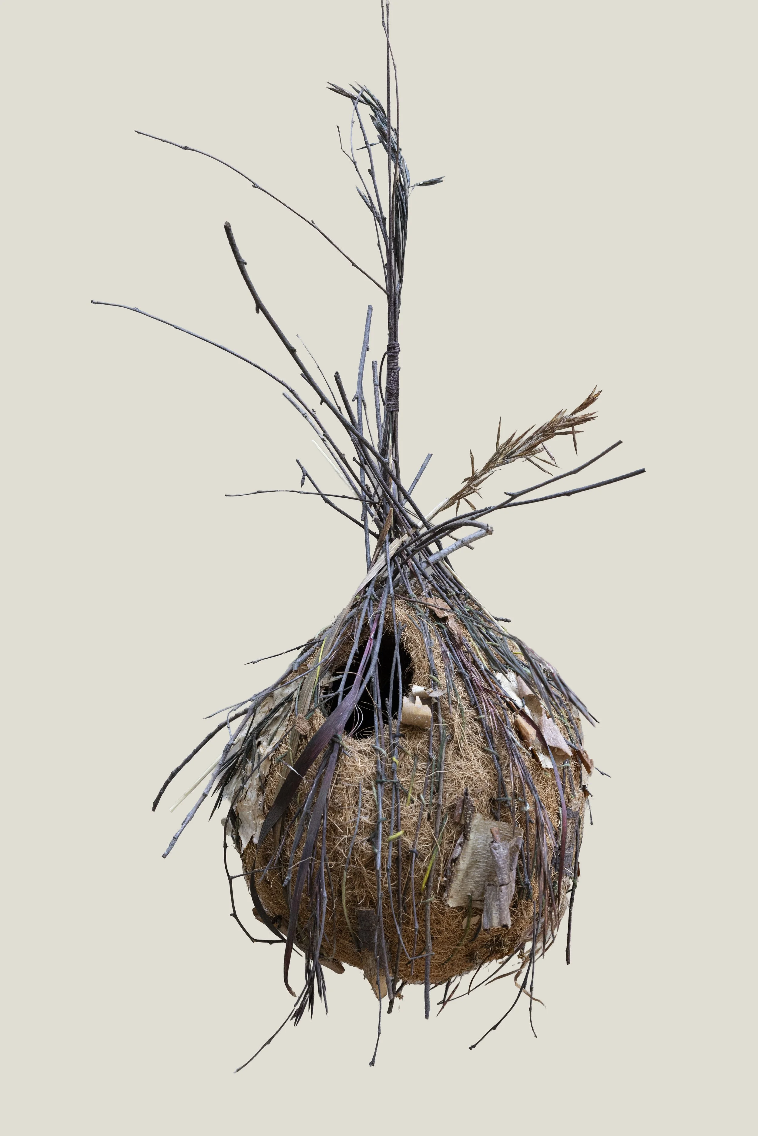 nest-no way in-05.jpg