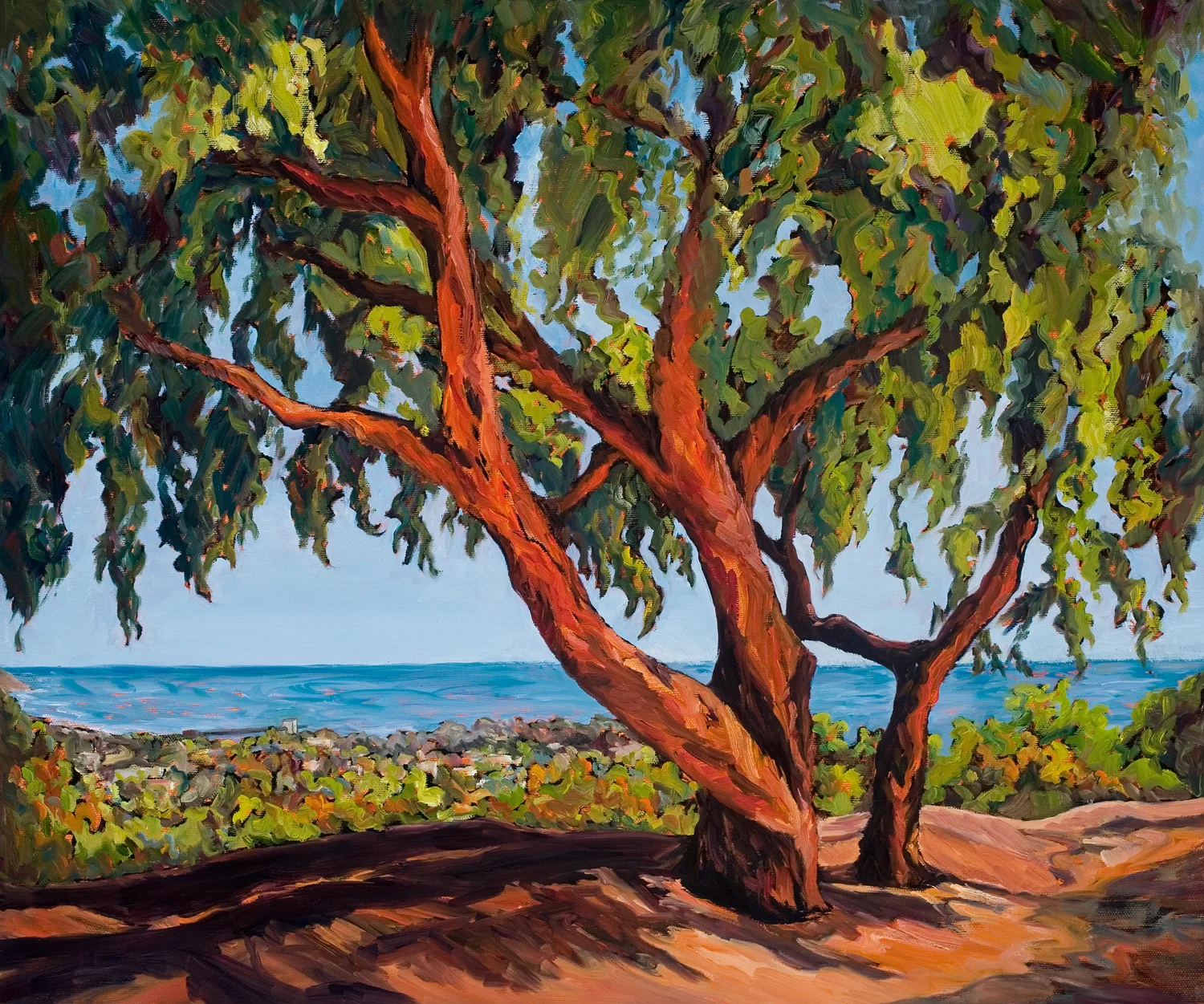 Pepper Trees Grant Park II