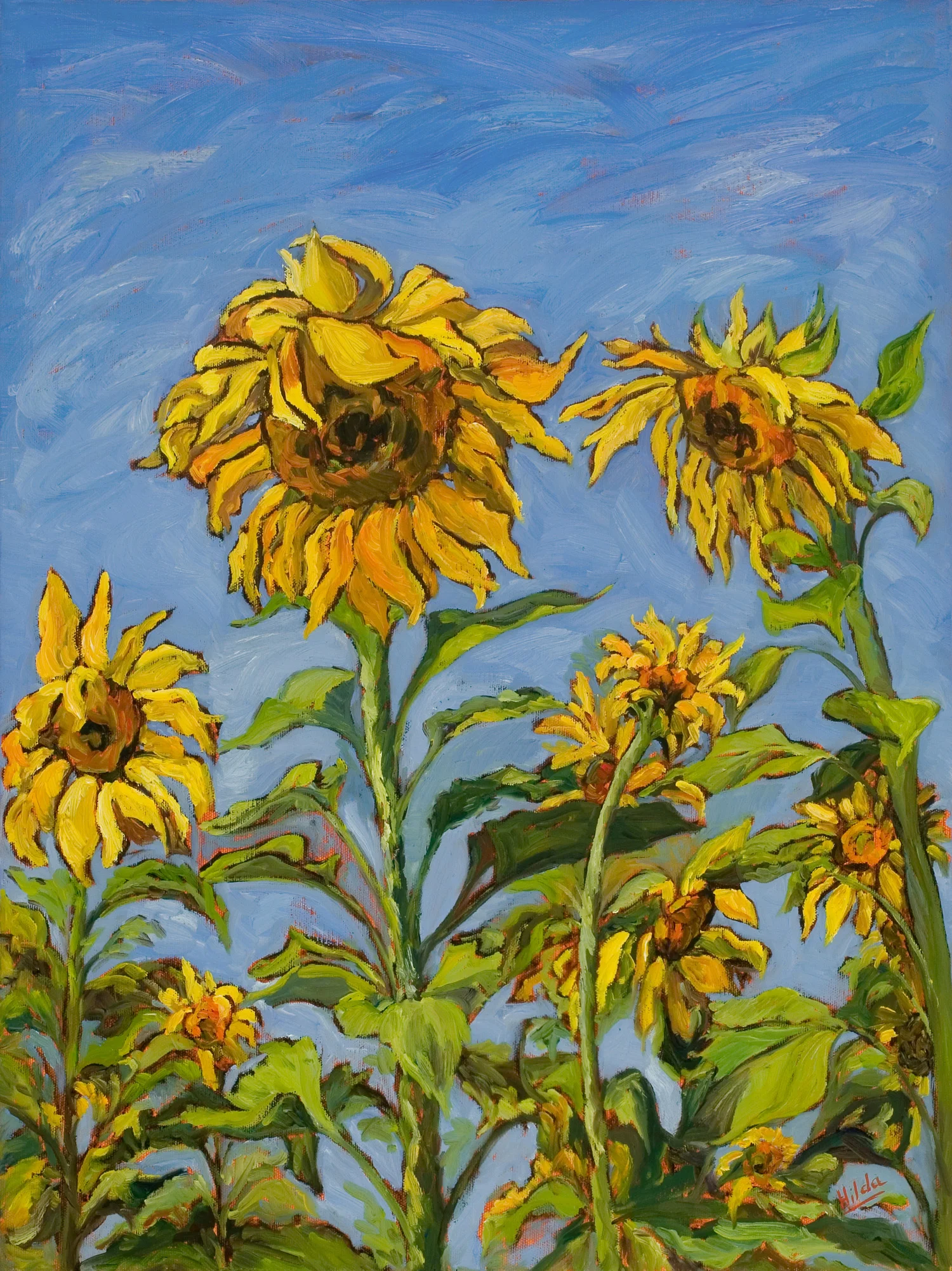 Sunflowers