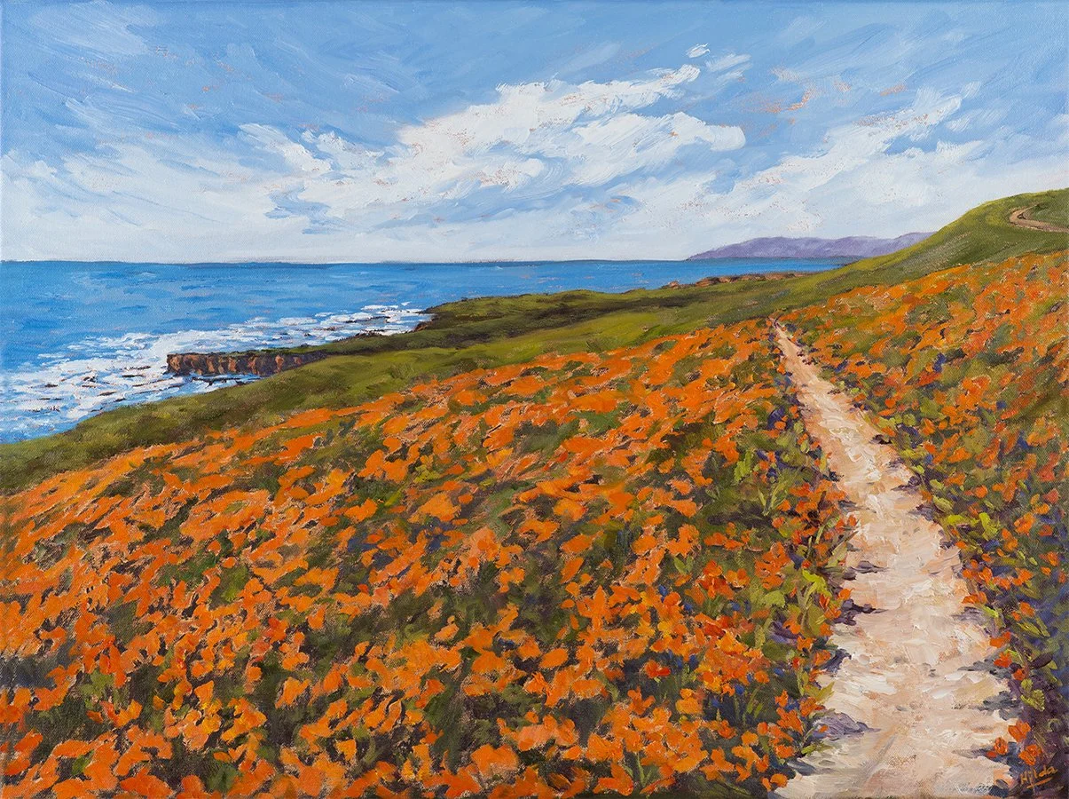 Colors of Conservation