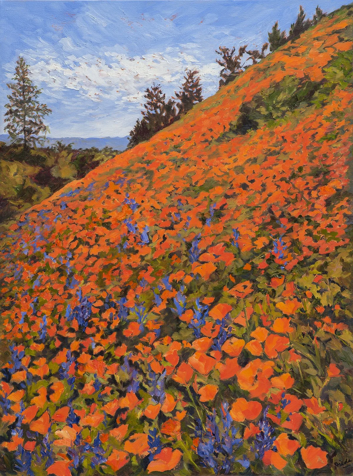 Poppies Superbloom, 24 x 18", oil