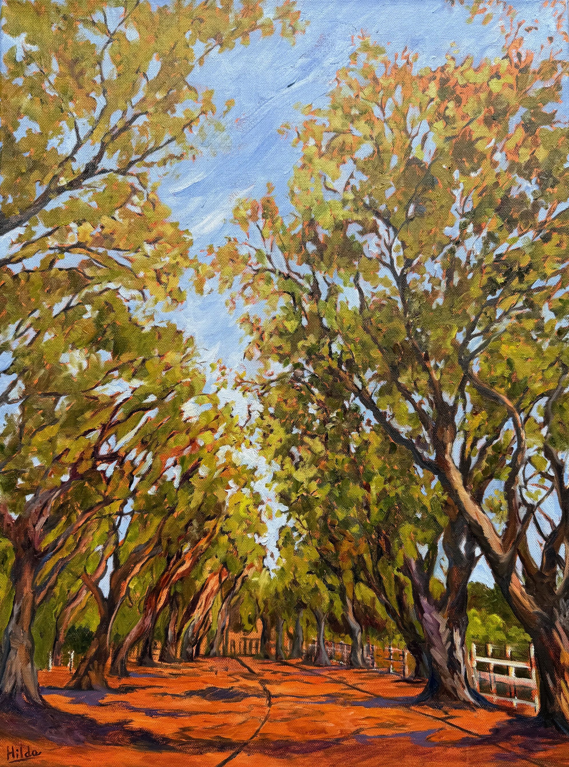 The Shaded Road, Los Olivos