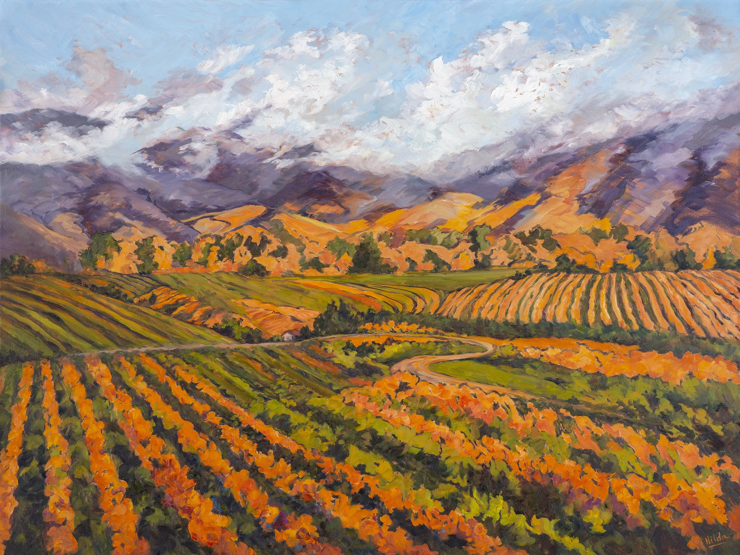 Paso Golden Vineyards