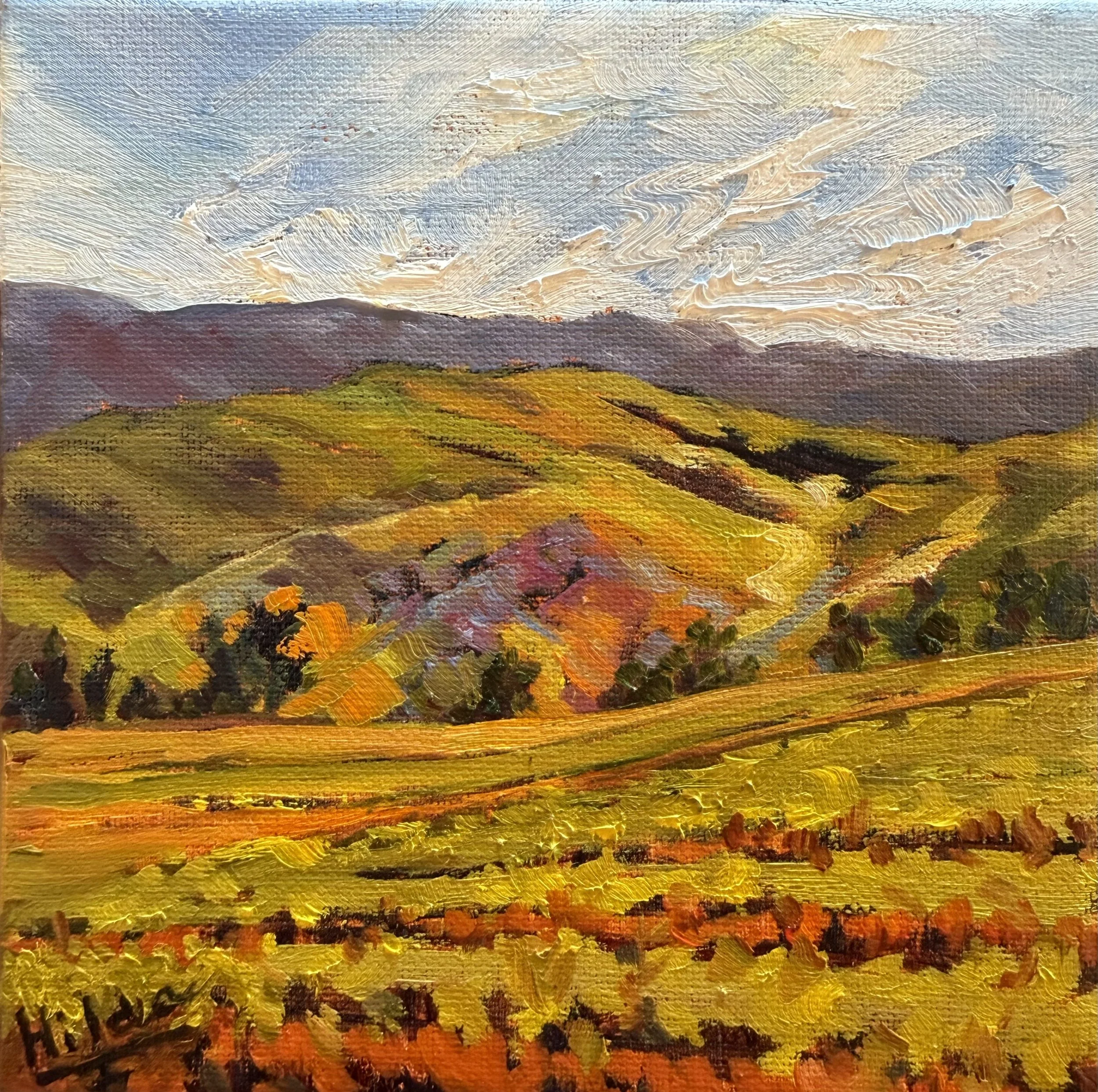 Spring Light Over the Vines