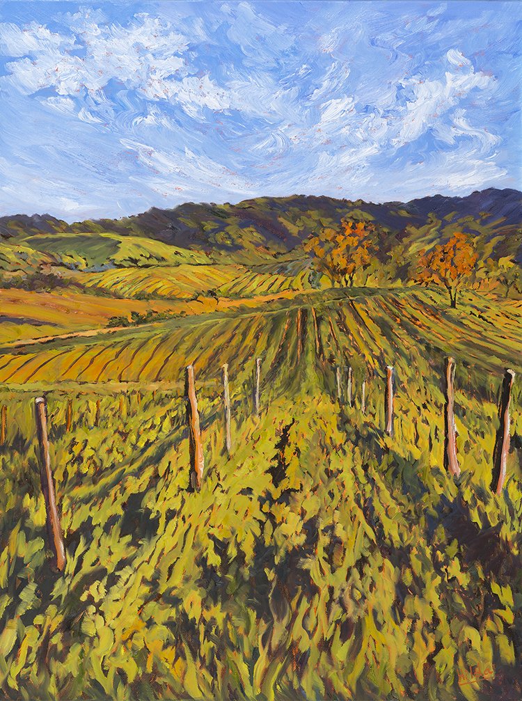 Fields of Spring Light