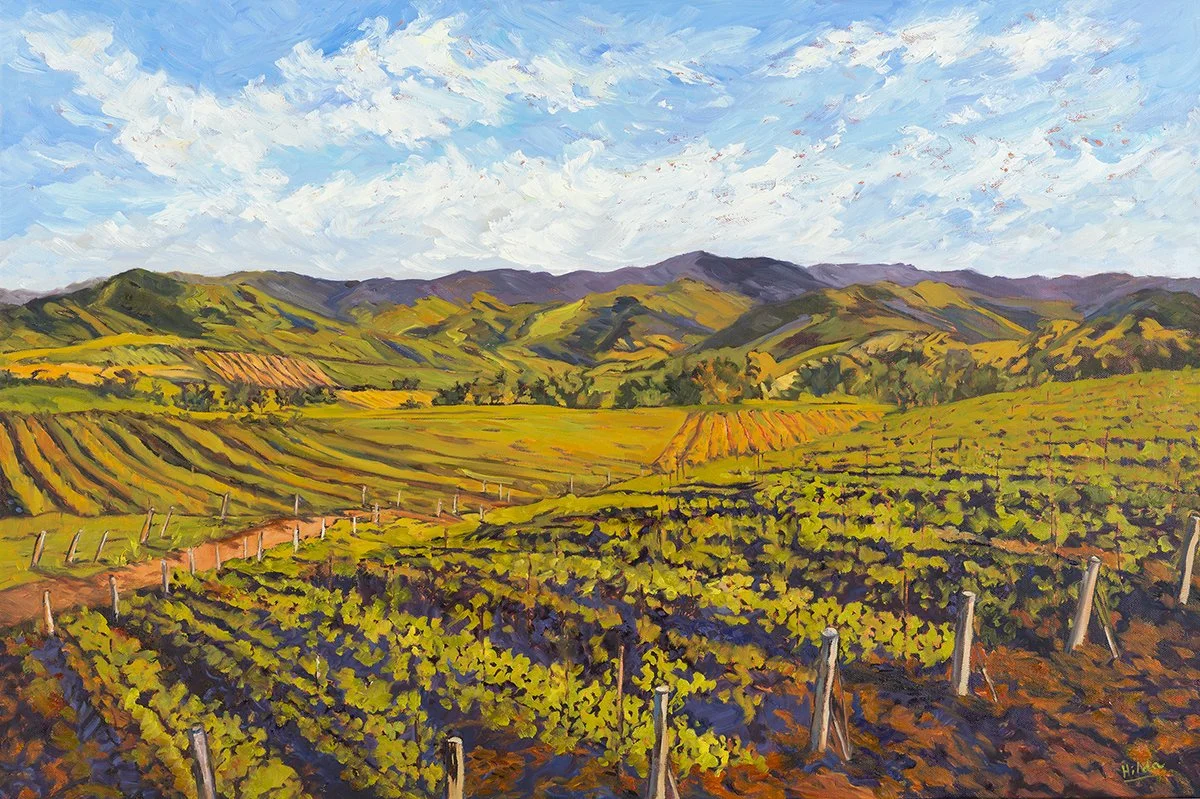 Paso Vineyard Vista