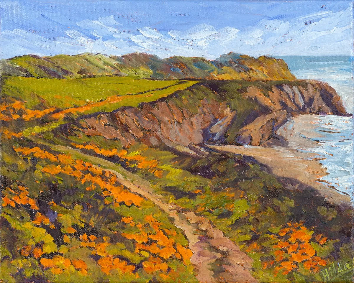 Spring Light at Point Buchon