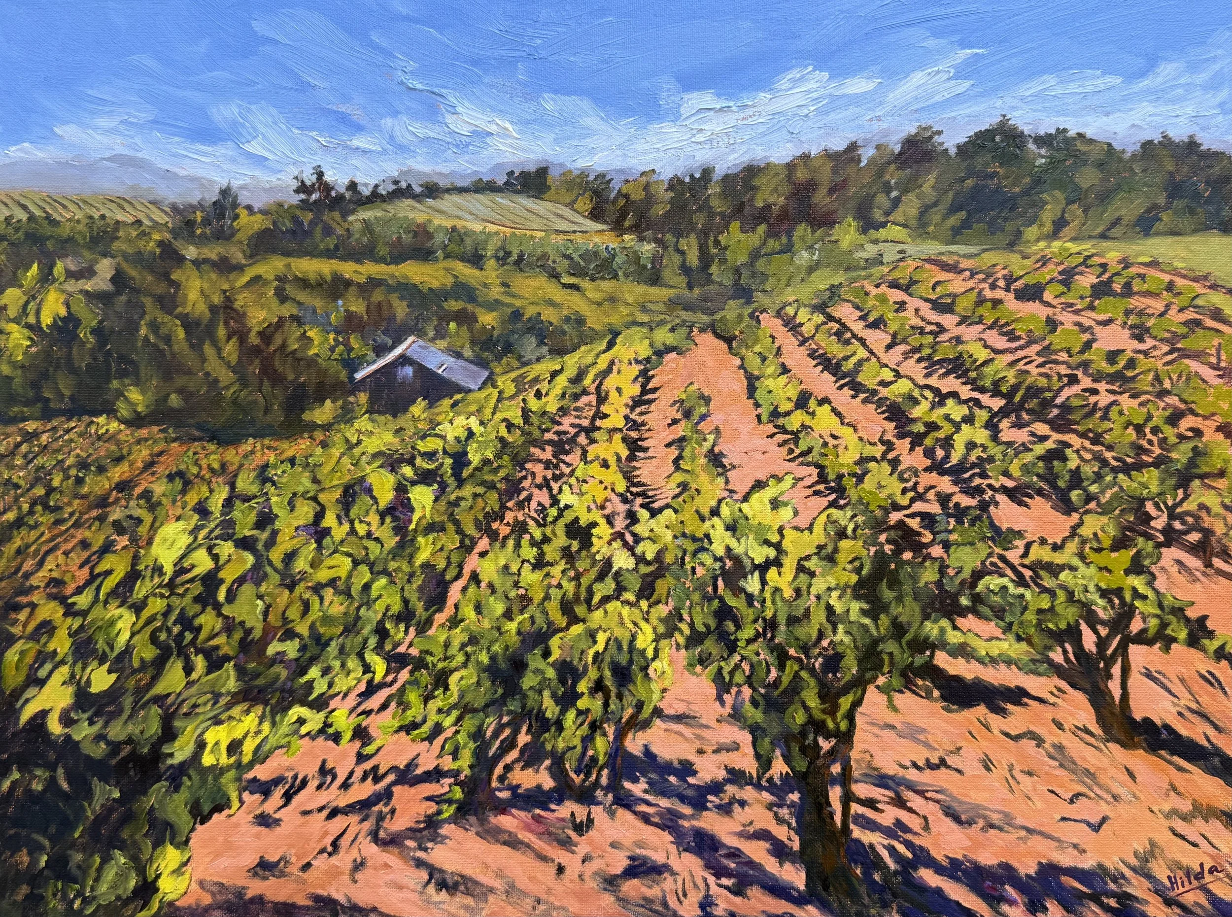 Old Vines at Turley