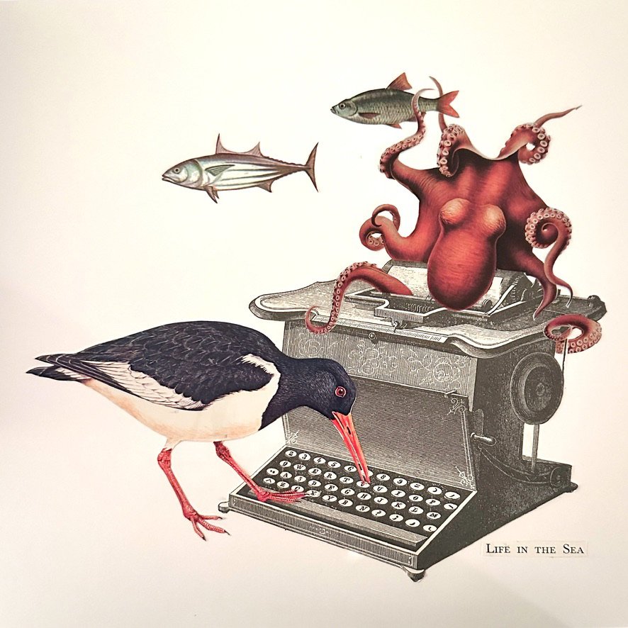 Life in the sea.jpg