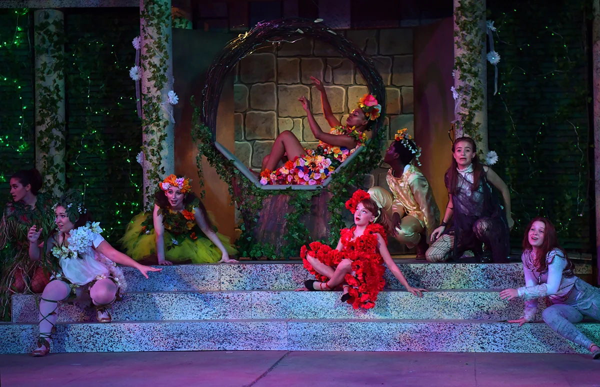 fairy-bower_44756532412_o.jpg