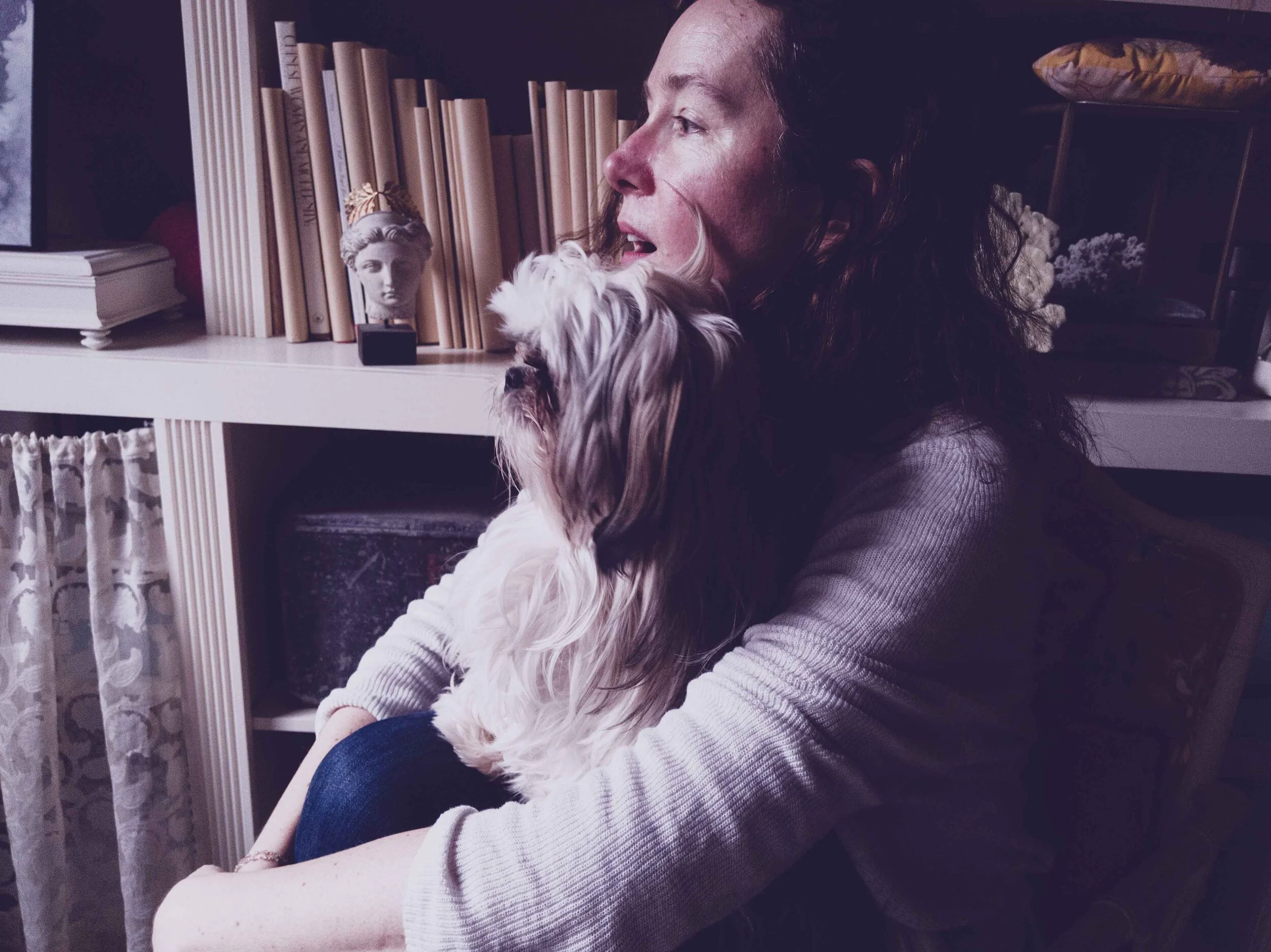 Slide Darling A Presentation Design Studio — About Us