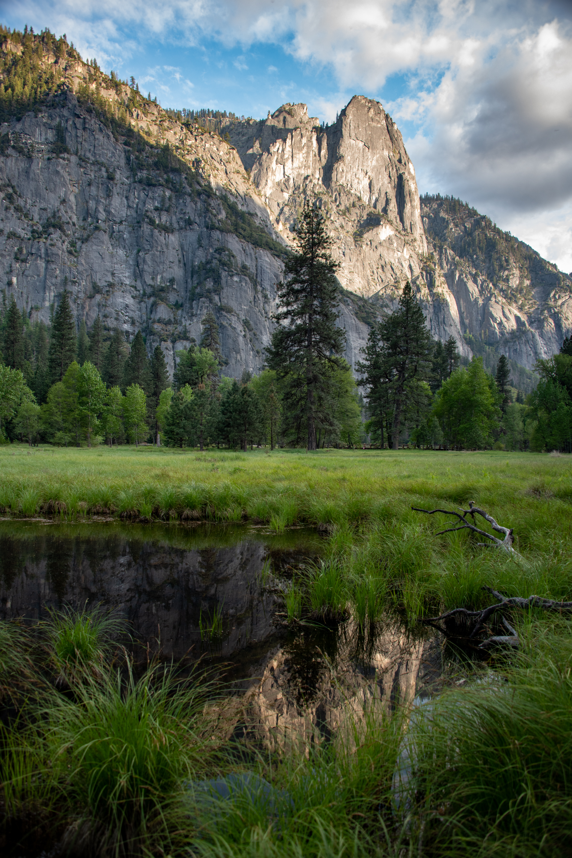 Meadow and Monolith Yosemite, California