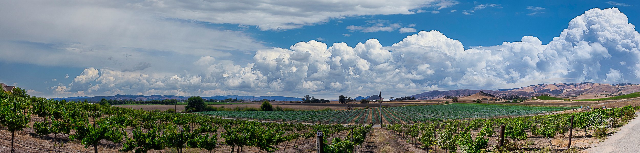 Edna Valley Looking North-1.jpg