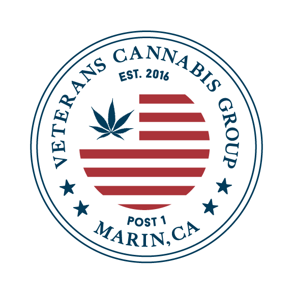 VCG_LOGO.png
