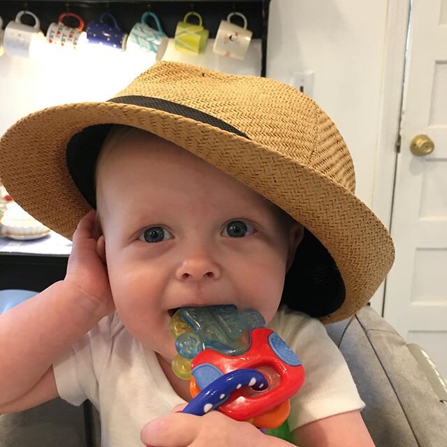 Baby in a big hat series continues
