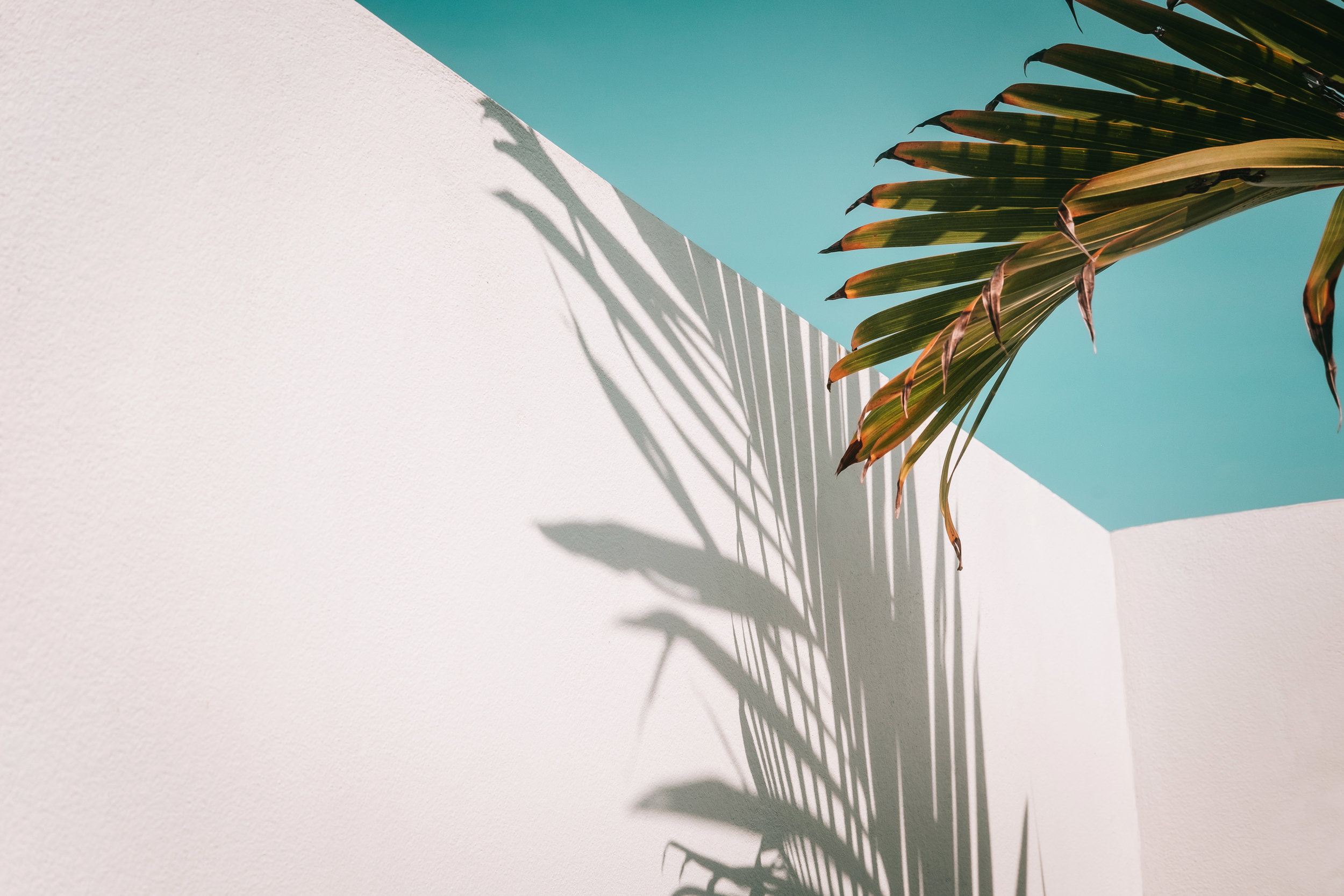 AdobeStock_213704696.jpeg