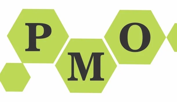 SES Completes PMO Assessment For Large International Banking Organization