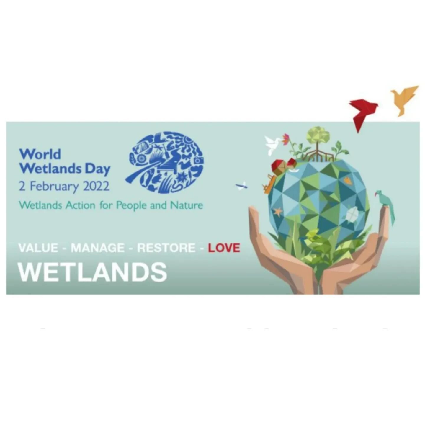 🦎Happy World Wetlands Day!🦎

Learn why wetlands matter enough to deserve their own day 👇

https://mailchi.mp/cb30c0698a16/february-2-is-world-wetlands-day

#wetlandsconservation #wetlands #wetlandsmatter #worldwetlandsday #actforwetlands #wetlandc