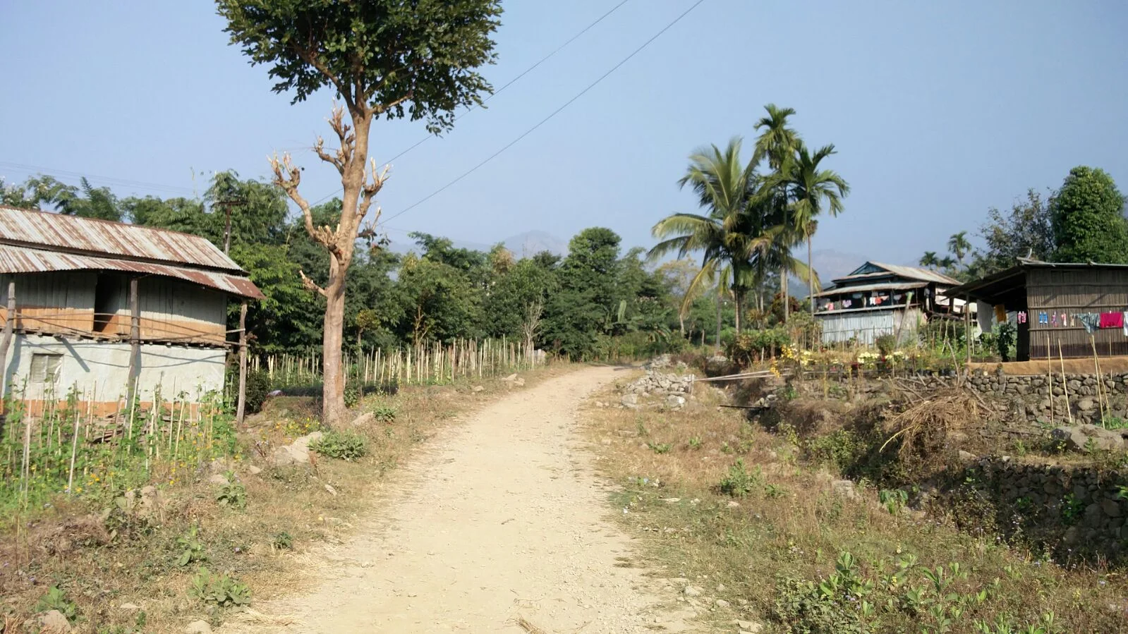 Blog van Esmeralda - Deel 8