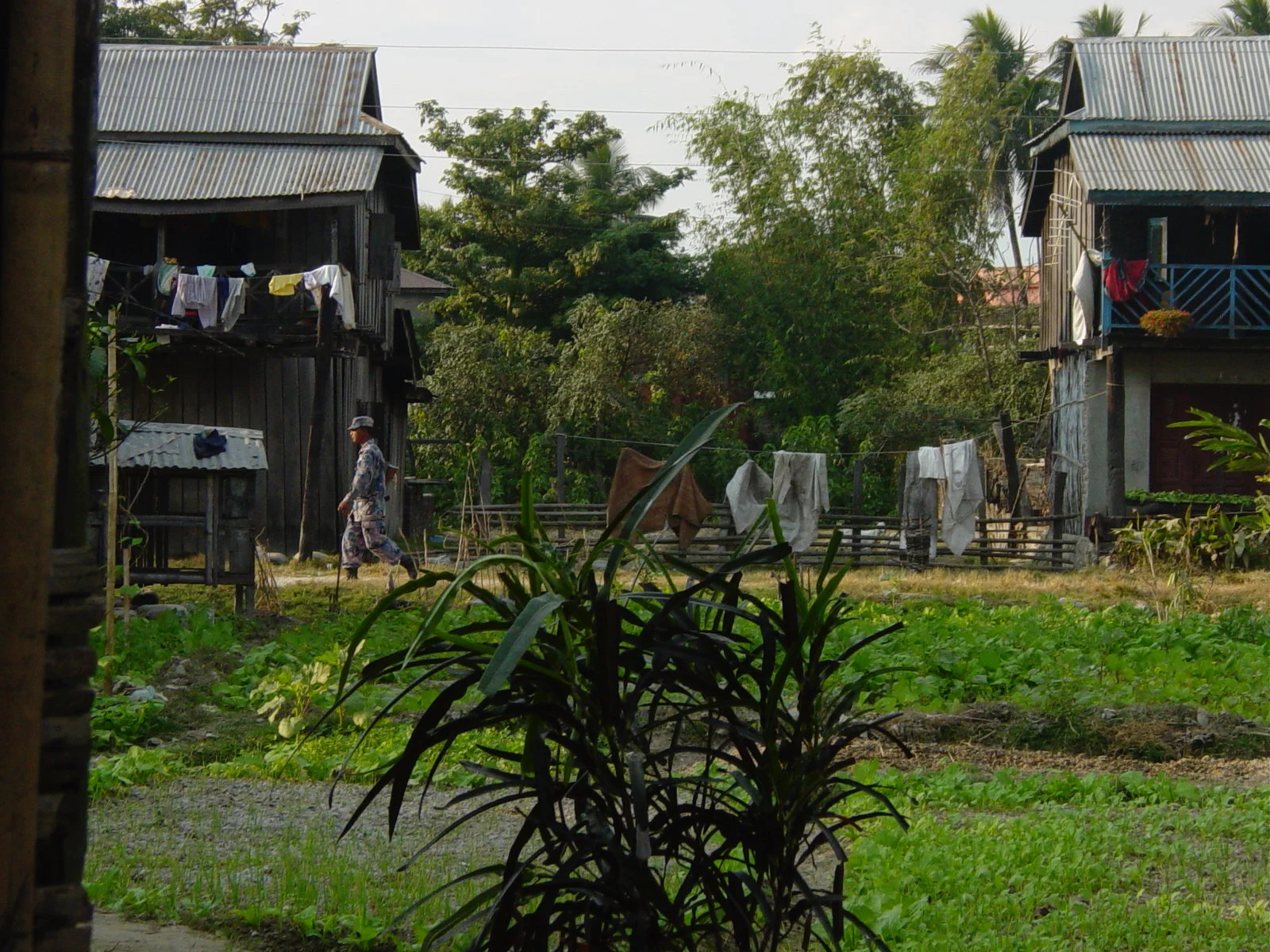 Nieuws uit Toklang (West-Bengalen), dichtbij de grens met Nepal