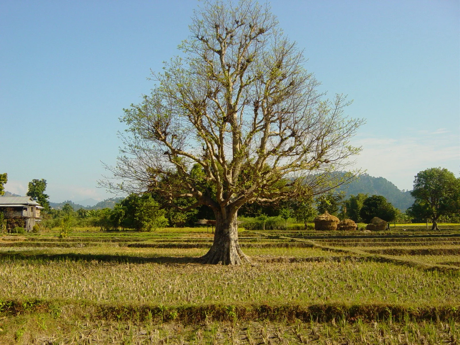Verslag van het tweede kwartaal 2013