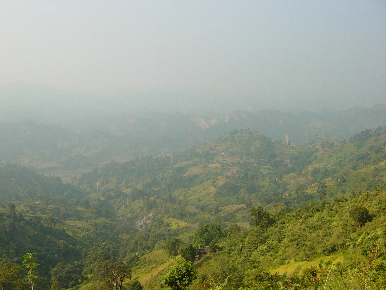 In de Indiase teagardens: drie doorbraken