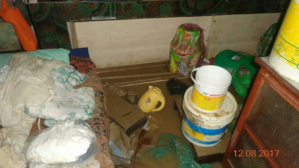 WhatsApp Image 2017-08-20 ate 19.53.54.jpeg