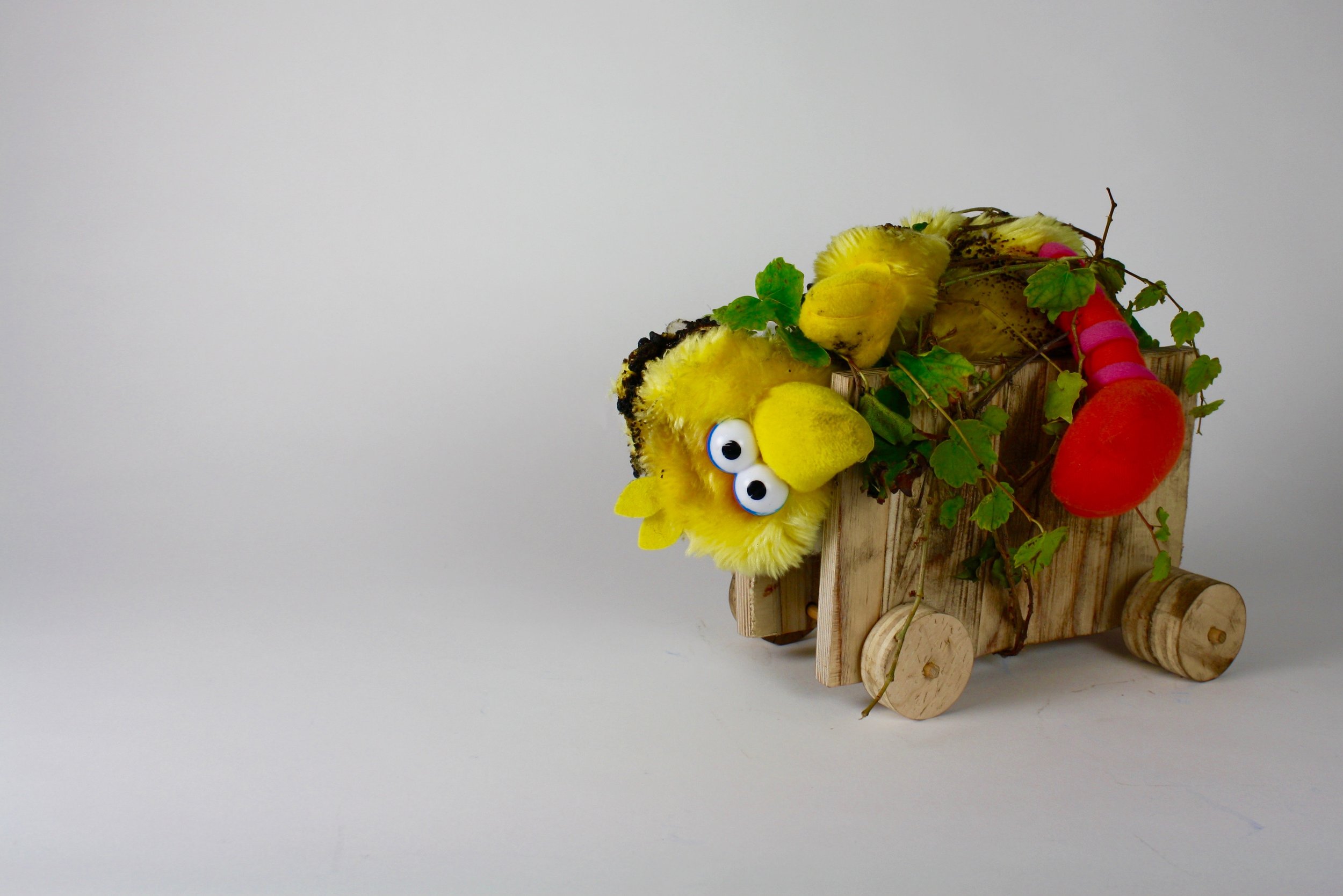 Wooden Pull Toy Project