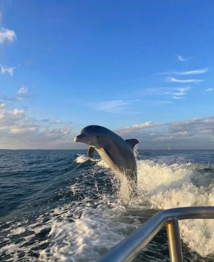 Friday baby! 🐬😁