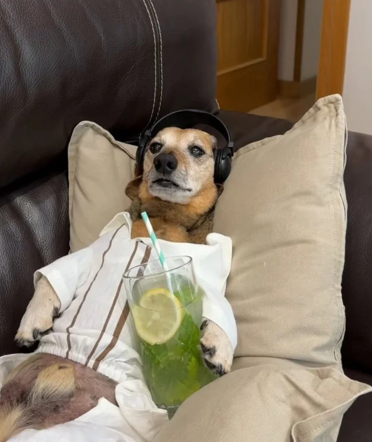 On energy saving mode until the end of the day -- 📷: @iamcalledlucas